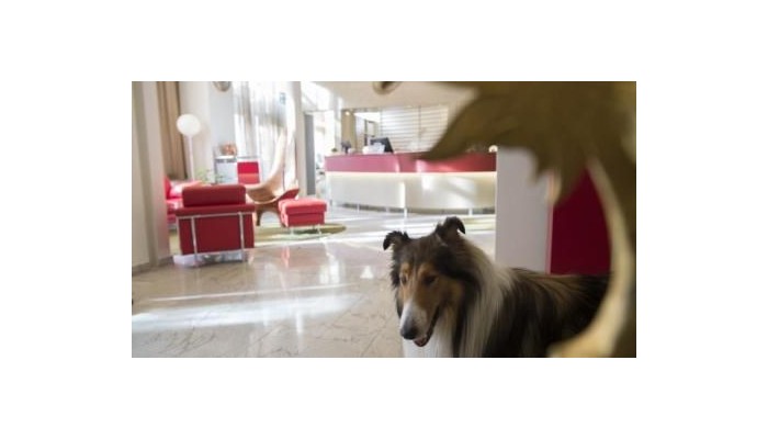 Gaia Hotel poza 7