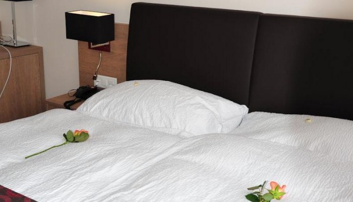 Poza pentru Hotel Alexander 874-1477042993 Hotel Alexander poza 1