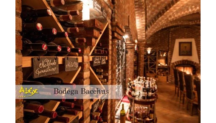 Poza pentru Hotel Alex 7624-1555085045 Hotel Alex poza 0