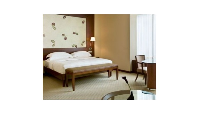 Hotel Park Hyatt poza 5