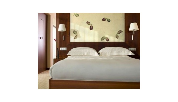 Hotel Park Hyatt poza 6